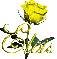 yellow rose elvis