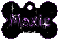 purple dog bone tag stars maxie