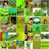 Green Collage