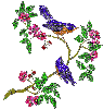 Flowers & Birds