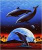 risingdolphins