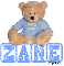 Baby Boy Bear - Zane