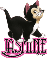 Cute Kitten - Jasmine