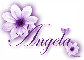 Purple Flower - Angela