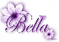 Purple Flower - Bella
