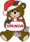 Christmas Teddy Bear - Vania