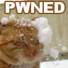 pwned kitty