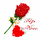 a rose for you-Vania
