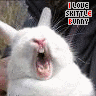 i love skittle bunny