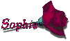 Red Rose - Sophia