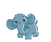 elephant dancing