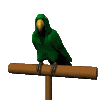 parrot perch