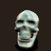 spinning skull avatar