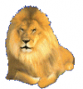lion avatar