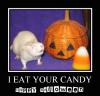I Eat Your Candy- Rat