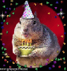 birthday squirrel