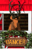 reindeer dancer
