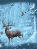 antlers in the snow