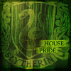 Slytherin Pride