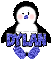Baby Boy Penguin -Dylan-