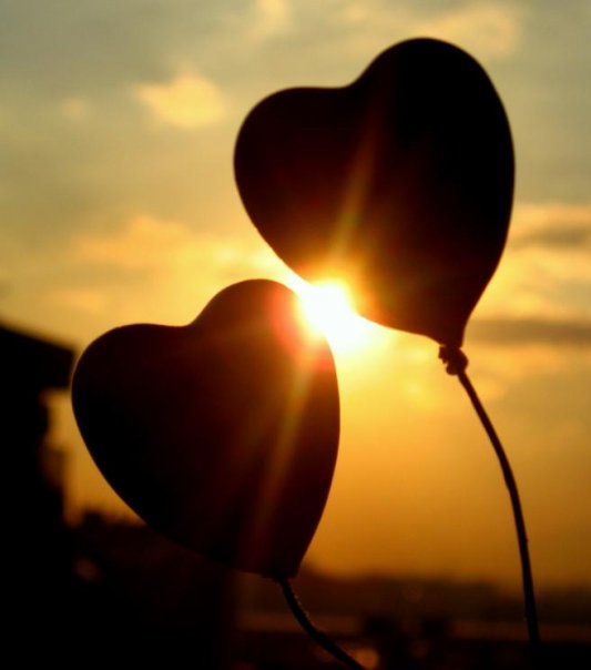 love