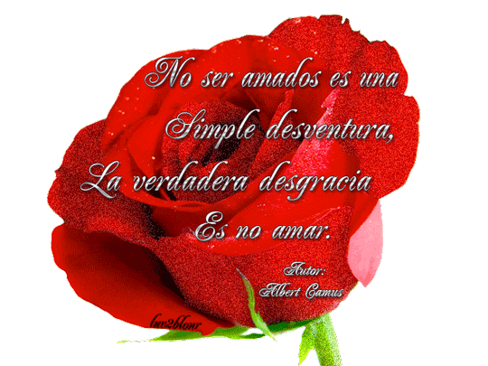 No ser Amado....