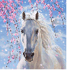 white horse morph