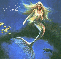 amber mermaid