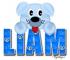 Blue Puppy - Liam