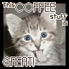 Coffee Cat!