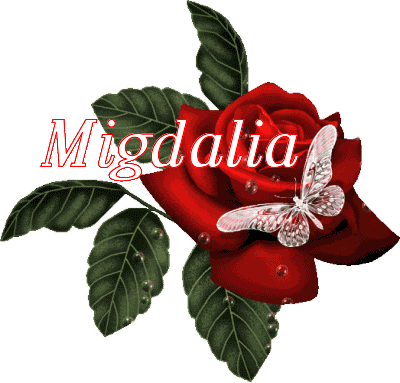 Butterfly Red Rose - Migdalia