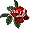 Butterfly Red Rose - Cindy