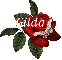 Butterfly Red Rose - Gilda