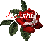 Butterfly Red Rose - Atsushi