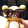 cute bear w/shades
