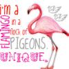 Flamingo/Pigeons