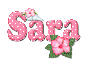 Pink Hibiscus: Sara