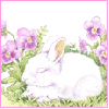 spring bunny