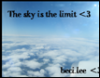 The sky is the limit avatar