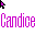 Candice cursor