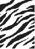 flashing zebra stripes