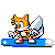 tails on a board