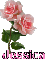 jessica rose