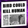 Bird kills Humans