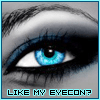 $Like My Eyecon?$