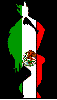 mexican flag girl