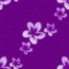 Purple Plumeria