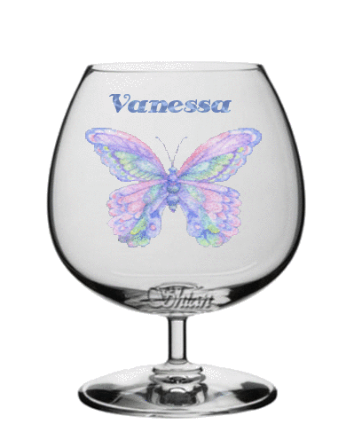 glitter butterflies behind glass Vanessa