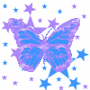 Stars butterfly