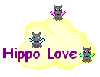hippo love